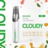 Cloudy 鴨嘴獸一次性-芭樂 【Cloudy 鴨嘴獸一次性】陶瓷芯8ml 500mAh續航 16款爆款口味🔥